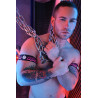 Breedwell Brassards Revolution Rose neon